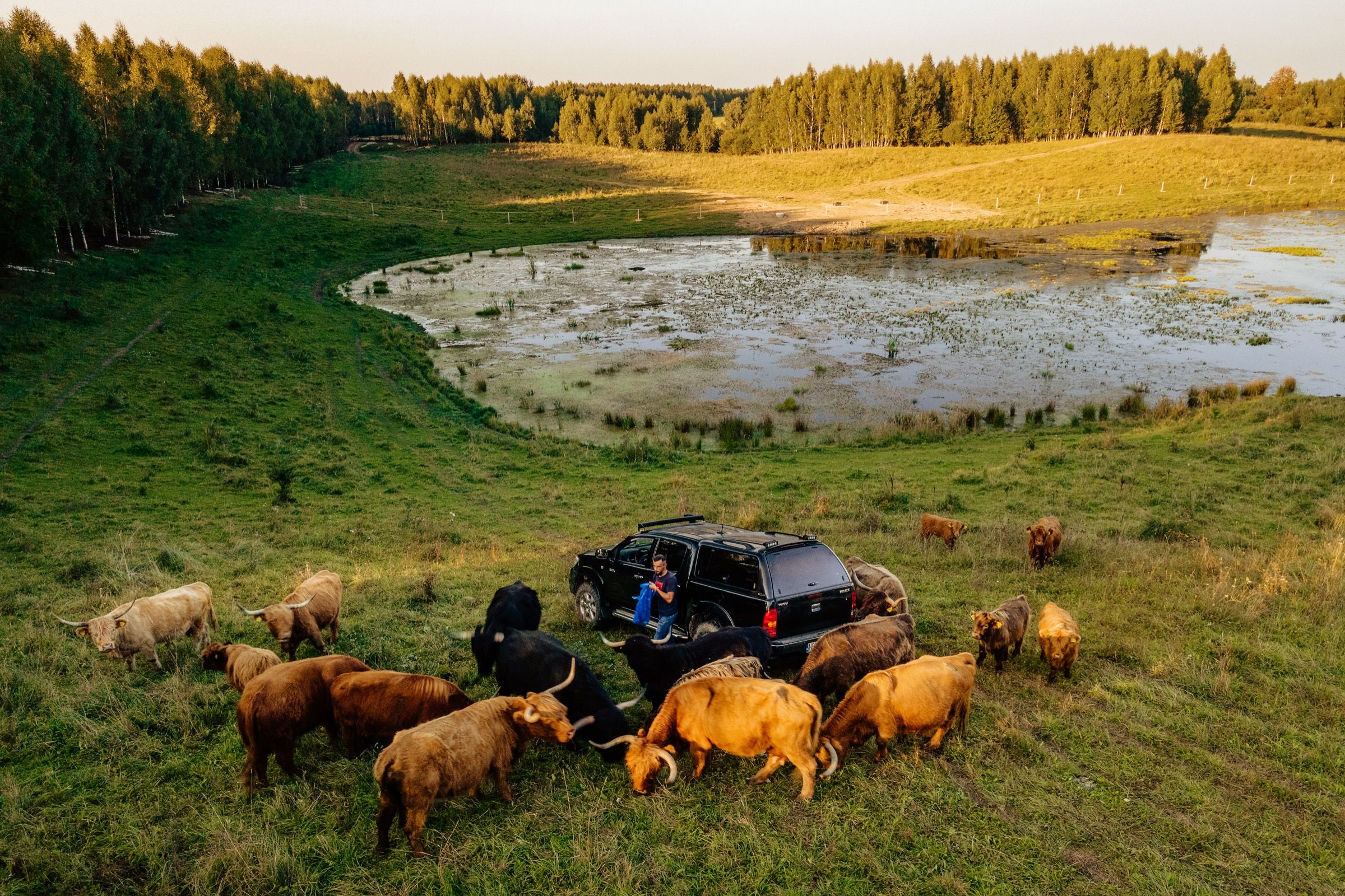 Highland Warmia — 10
